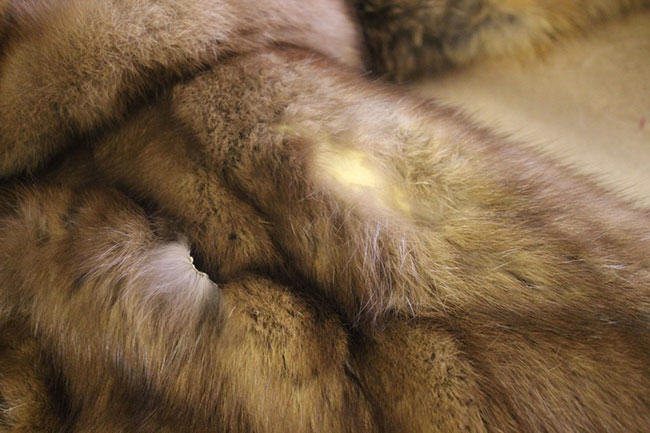 Moth Removal Fur Coats Marc Kaufman Furs