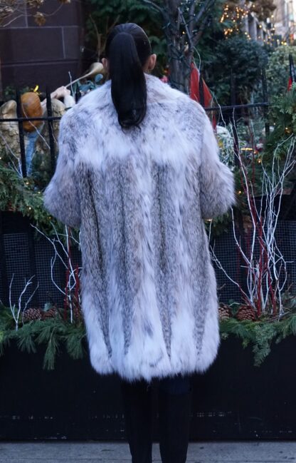 Spectacular Canadian Lynx Stroller 4554 - Image 3