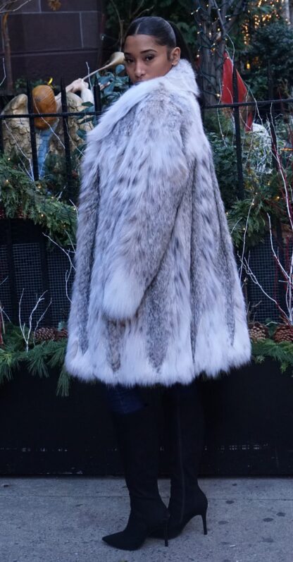 Spectacular Canadian Lynx Stroller 4554 - Image 4