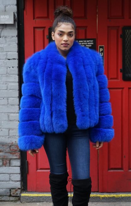 Special Purchase Royal Blue Fox Jacket 4848 - Image 4