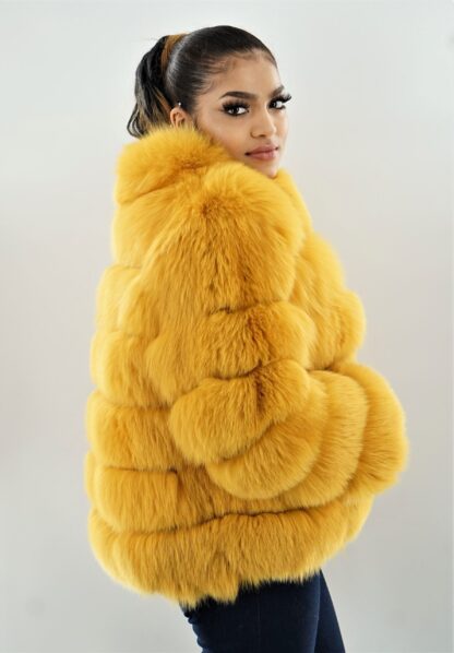 Yellow Fox Jacket 5857 - Image 2