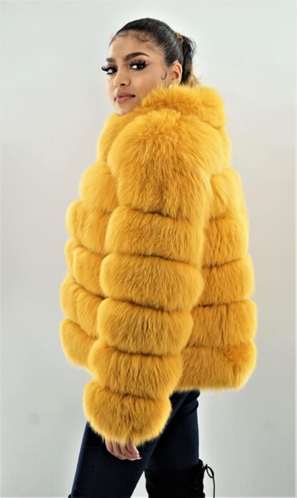 Yellow Fox Jacket 5857 - Image 4