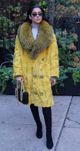 Yellow Persian Stroller Fox Collar 7333