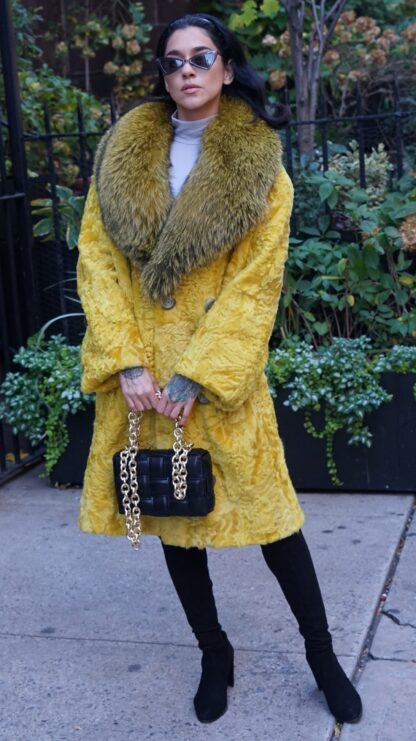 Yellow Persian Stroller Fox Collar 7333 - Image 2