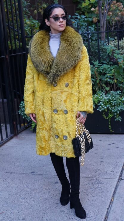 Yellow Persian Stroller Fox Collar 7333 - Image 3