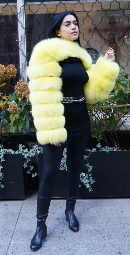 Yellow Fox Bolero Jacket 38474