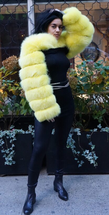 Yellow Fox Bolero Jacket 38474 - Image 4