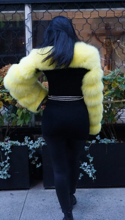 Yellow Fox Bolero Jacket 38474 - Image 6