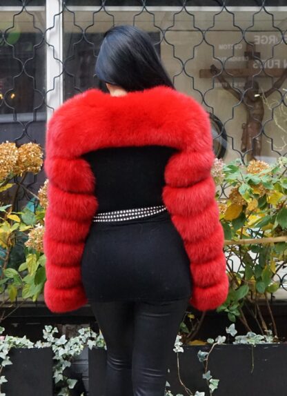 Red Fox Bolero Jacket 22334 - Image 3