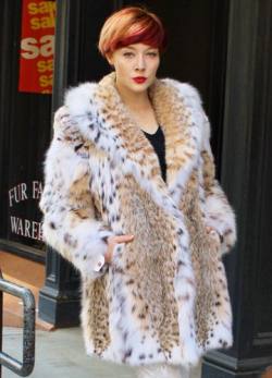 Gorgeous American Cat Lynx Fur Stroller 5678