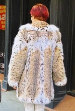 Gorgeous American Cat Lynx Fur Stroller 5678 - Image 3