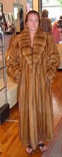 Golden Canadian Sable Coat Cross Cur Shawl Fur Collar 9156