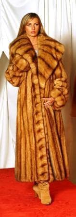 Amazing Full Length Canadian Golden Sable Fur Coat Large Shawl Collar 90093
