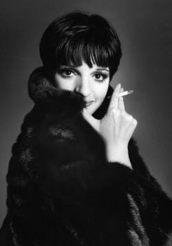 Liza Minelli Fabulous Blackglama Mink Coat