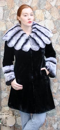 Black Rex Rabbit Fur Stroller Chinchilla Collar 66791