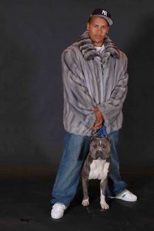 Sapphire Mink Jacket Chinchilla Collar Men's 6677