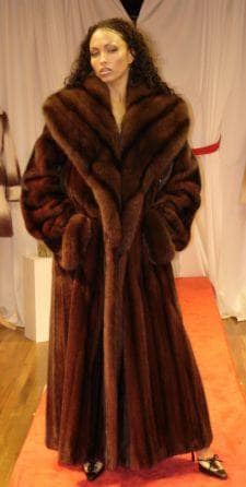 Fabulous Mahogany Mink Coat Matching Russian Sable Collar 995